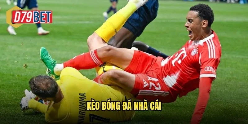 Kèo Bóng Đá Nhà Cái D79bet Tỷ Lệ Hấp Dẫn Cập Nhật Liên Tục 1 kèo bóng đá nhà cái