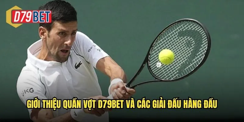 Giới thiệu quần vợt d79bet và các giải đấu hàng đầu
