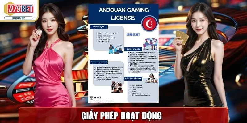 Giấy phép hoạt động